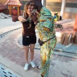 whatsapp image 2026 03 30 at 21.23.31